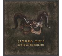 Jethro Tull Curious Ruminant (CD)