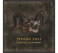 Jethro Tull Curious Ruminant (CD) (PRESALE 07/03/2025)