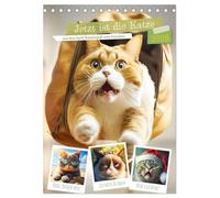 Jetzt ist die Katze aus dem Sack! Katzenspaß vom Feinsten! (Tischkalender 2026 DIN A5 hoch), CALVENDO Monatskalender: Diese lustigen Stubentiger bringen Freude in den Alltag!