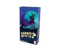 Jeu d ambiance Topigames Esprit es tu là