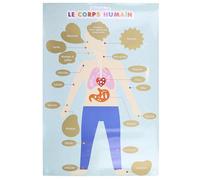 Jeux 2 mômes Poster con Raschietto, Corpo Umano, 60 cm x 40 cm