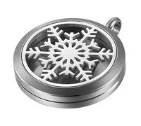 JewelryWe Aromaterapia Collana con Pendente Diffusore dell'Olio Essenziale, Rosa Ciondolo Retro Annata Collana del Profumo Regalo Originale per Il Amore, 6 Feltri da Cambiare, Portafoto