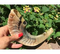 Jewish Shofar 10-12" Ram Horn Soffia Sinagoga Preghiera Spedizione Gratuita d...