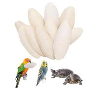 JEXOWIQ 10 Pezzi osso di seppia per pappagalli, Ossi di Seppia per Pappagalli, 8-10 cm Pura Lucidatura Naturale, Adatto per l'integrazione di Calcio per Uccelli, Tartarughe e Altri Rettili