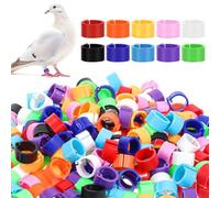 JEYORZY 100 Pezzi anelli per zampe di uccello di 10 mm in plastica, multicolori, Perfetti per polli, piccioni e altri piccoli animali, Con clip sulle gambe per un facile utilizzo, Colore casuale