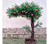 JFBLSD Albero di Arancio/melo Artificiale, pianta ficus Finto in Seta, Albero Verde per Interni ed Esterni la casa, Il Giardino, L'Ufficio, Soggiorno(A,3 * 2M)