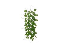 JFGCTYHXY Decorazioni Floreali Artificiali, Home Wall Decoration Encryption Simulation Eucalyptus Pendant(Bg phs a05386)