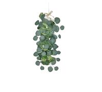 JFGCTYHXY Decorazioni Floreali Artificiali, Home Wall Decoration Encryption Simulation Eucalyptus Pendant(Bg yjl a04041)