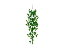 JFGCTYHXY Decorazioni Floreali Artificiali, Home Wall Decoration Encryption Simulation Eucalyptus Pendant(Bg ll a07256)