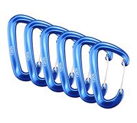 JFGCTYHXY Moschettone, 6 Pezzi moschettone 12KN for impieghi gravosi Chiave for amache Campeggio Escursionismo Zaino in Spalla Arrampicata Clip a Scatto Fibbia Gancio di bloccaggio(6pcs Blue)