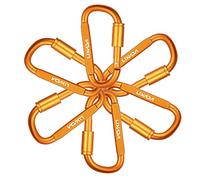 JFGCTYHXY Moschettone, 6 Pezzi moschettone 12KN for impieghi gravosi Chiave for amache Campeggio Escursionismo Zaino in Spalla Arrampicata Clip a Scatto Fibbia Gancio di bloccaggio(6pcs Gold 2)