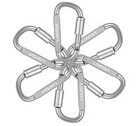 JFGCTYHXY Moschettone, 6 Pezzi moschettone 12KN for impieghi gravosi Chiave for amache Campeggio Escursionismo Zaino in Spalla Arrampicata Clip a Scatto Fibbia Gancio di bloccaggio(6pcs Silver 2)