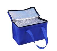 JFGCTYHXY Torba termoizolacyjna, Borsa da Picnic, Borsa Termica for Alimenti, for Il Pranzo Portatile, for, for in Spiaggia, Viaggio su Strada(Blue,21x14x17cm)