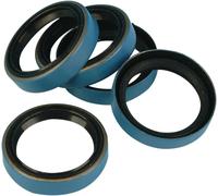 JGI-12035-B KIT PARAOLIO INGRANAGGIO PRINCIPALE HARLEY FXR 1340 SUPER GLIDE 1991