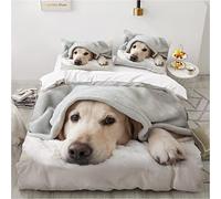 JGTQ Lenzuola Matrimoniali 220x240cm Labrador retriever Stampa con 2 Federe Microfibra Morbida Tessuto di Alta qualità Resistente alle Rughe e allo Scolorimento