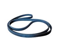 JGUYC 7DPK2880 Cinghia multicuneo in gomma for P//o//r//s//c//h//e P//a//n//a//m//e//r//a 4(970) 3.6L 2010-2016 Accessori for auto Trasmissione