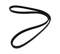 JGUYC Cinghia multi-cuneo in gomma 3PK0895 for trasmissione B//A//I//CS//e//n//o//v//a D50 1.5L 2017- 2013- F//A//W//H//a//i//m//a M3 2012- M6 .6L