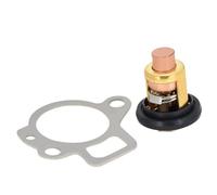 JGUYC P//a//r//s//u//n Fuoribordo F9.9 F15 F20 F25 F30 F40 F50 F60 Termostato motore F15-07000031