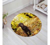 JHAOUNUK Tappetino da bagno ad asciugatura rapida, tappetino assorbente per la casa, fondo antiscivolo in gomma, facile da pulire, tappetino da bagno per doccia, Labrador Retriever Read Pet Lovely