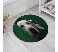 JHAOUNUK Tappetino da bagno ad asciugatura rapida, tappetino assorbente per la casa, fondo antiscivolo in gomma, facile da pulire, tappetino da bagno per doccia, sfocatura del viso di cane dalmata, 61
