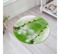 JHAOUNUK Tappetino da bagno ad asciugatura rapida, tappetino assorbente per la casa, fondo antiscivolo in gomma, facile da pulire, tappetino da bagno per doccia, coccinella, coccinella su un gambo