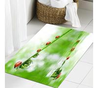 JHAOUNUK Tappeto Bagno Super Assorbente Tappetino per Doccia Microfibra,Asciugatura Rapida Tappetino Doccia per,Coccinella, coccinella su uno stelo sopra l'acqua animali a strisce fresche,60x90cm