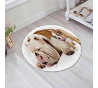 JHAOUNUK Tappeto Bagno Super Assorbente Tappetino per Doccia Microfibra,Asciugatura Rapida Tappetino Doccia per,padre e figlio cani - cucciolo di bulldog inglese che si lecca la lingua,60x60cm