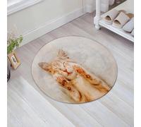 JHAOUNUK Tappeto Bagno Super Assorbente Tappetino per Doccia Microfibra,Asciugatura Rapida Tappetino Doccia per,Un grazioso gattino rosso dorme sulla schiena e sorride con le zampe alzate. Con,60x60cm