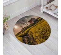JHAOUNUK Tappeto Bagno Super Assorbente Tappetino per Doccia Microfibra,Asciugatura Rapida Tappetino Doccia per,Casa di campagna, vecchio abbandonato rurale prato fiorito villaggio idilliaco p,60x60cm