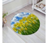 JHAOUNUK Tappeto Bagno Super Assorbente Tappetino per Doccia Microfibra,Asciugatura Rapida Tappetino Doccia per, Decorazione di narcisi, un campo di fiori di narcisi sboccia contro l'estate,60x60cm