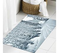 JHAOUNUK Tappeto Bagno Super Assorbente Tappetino per Doccia Microfibra,Asciugatura Rapida Tappetino Doccia per,Bellissimo paesaggio con strada e foresta di conifere in una giornata invernale,60x90cm