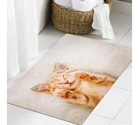 JHAOUNUK Tappeto Bagno Super Assorbente Tappetino per Doccia Microfibra,Asciugatura Rapida Tappetino Doccia per,Un grazioso gattino rosso dorme sulla schiena e sorride con le zampe alzate. Con,60x90cm
