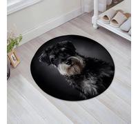 JHAOUNUK Tappeto Bagno Super Assorbente Tappetino per Doccia Microfibra,Asciugatura Rapida Tappetino Doccia per,Ritratto di cane Schnauzer su grigio scuro Animale domestico adorabile,60x60cm