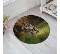 JHAOUNUK Tappeto Bagno Super Assorbente Tappetino per Doccia Microfibra,Asciugatura Rapida Tappetino Doccia per,Bellissimo cane da pastore australiano che corre tra gli animali dell'erba Cane,60x60cm