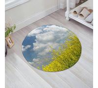 JHAOUNUK Tappeto Bagno Super Assorbente Tappetino per Doccia Microfibra,Asciugatura Rapida Tappetino Doccia per,Casa di campagna, campo di colza in fiore e cielo nuvoloso Sassonia Germania Rus,60x60cm