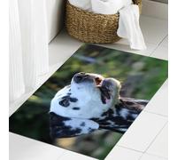 JHAOUNUK Tappeto Bagno Super Assorbente Tappetino per Doccia Microfibra,Asciugatura Rapida Tappetino Doccia per,Cane dalmata con la faccia maculata che guarda in alto,60x90cm