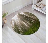 JHAOUNUK Tappeto Bagno Super Assorbente Tappetino per Doccia Microfibra,Asciugatura Rapida Tappetino Doccia per,Foresta nebbiosa dopo la pioggia nella stagione primaverile,60x60cm