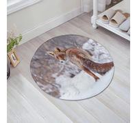JHAOUNUK Tappeto Bagno Super Assorbente Tappetino per Doccia Microfibra,Asciugatura Rapida Tappetino Doccia per, Campagna Paesaggio innevato Animale selvatico peloso Caccia Volpino d,60x60cm