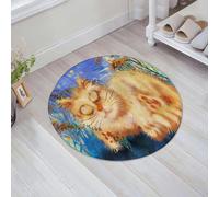 JHAOUNUK Tappeto Bagno Super Assorbente Tappetino per Doccia Microfibra,Asciugatura Rapida Tappetino Doccia per,Il gatto rosso dorme in giardino,60x60cm