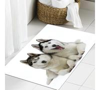 JHAOUNUK Tappeto Bagno Super Assorbente Tappetino per Doccia Microfibra,Asciugatura Rapida Tappetino Doccia per,Tema animale Bianco Vivido Due cani Siberian Husky che si coccolano,50x80cm