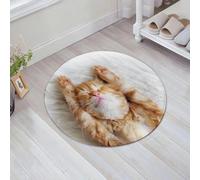 JHAOUNUK Tappeto Bagno Super Assorbente Tappetino per Doccia Microfibra,Asciugatura Rapida Tappetino Doccia per,Un grazioso gattino rosso dorme su una coperta di pelliccia bianca,60x60cm