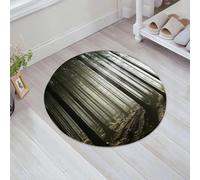 JHAOUNUK Tappeto Bagno Super Assorbente Tappetino per Doccia Microfibra,Asciugatura Rapida Tappetino Doccia per,Foresta, foresta di conifere con rami spogli in una mattina autunnale nebbiosa e,60x60cm