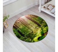 JHAOUNUK Tappeto Bagno Super Assorbente Tappetino per Doccia Microfibra,Asciugatura Rapida Tappetino Doccia per,Fattoria, magico riflesso di luce nel profondo della foresta di betulle,60x60cm