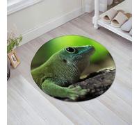 JHAOUNUK Tappeto Bagno Super Assorbente Tappetino per Doccia Microfibra,Asciugatura Rapida Tappetino Doccia per,Geco diurno gigante di Koch (Phelsuma madagascariensis Kochi),60x60cm