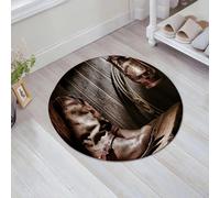 JHAOUNUK Tappeto Bagno Super Assorbente Tappetino per Doccia Microfibra,Asciugatura Rapida Tappetino Doccia per, e lanterna su una panchina in un ranch vintage con stampa folklor,60x60cm