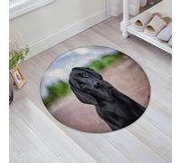 JHAOUNUK Tappeto Bagno Super Assorbente Tappetino per Doccia Microfibra,Asciugatura Rapida Tappetino Doccia per,Adorabile disegno cani Labrador Cool animali neri cane retriever fauna selvatica,60x60cm