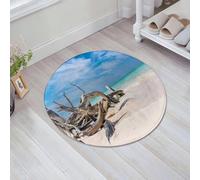 JHAOUNUK Tappeto Bagno Super Assorbente Tappetino per Doccia Microfibra,Asciugatura Rapida Tappetino Doccia per,Rami sulla spiaggia di Cayo Jutias nella regione di Pinar del Rio a Cuba.,60x60cm