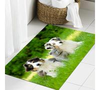 JHAOUNUK Tappeto Bagno Super Assorbente Tappetino per Doccia Microfibra,Asciugatura Rapida Tappetino Doccia per,Cuccioli di animali domestici carini Famiglia nel giardino Pastori australiani e,60x90cm