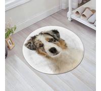 JHAOUNUK Tappeto Bagno Super Assorbente Tappetino per Doccia Microfibra,Asciugatura Rapida Tappetino Doccia per,Primo piano di un cucciolo di pastore australiano di 3 mesi che guarda la teleca,60x60cm