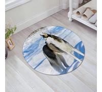 JHAOUNUK Tappeto Bagno Super Assorbente Tappetino per Doccia Microfibra,Asciugatura Rapida Tappetino Doccia per,Alaskan Malamute, razza di cane Chukchi Husky sulla neve r,60x60cm